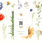 RSVP Wedding Website by Love, D. Concepts - Philippines
